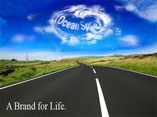 Ocean Spray Campaign - Blink Creative